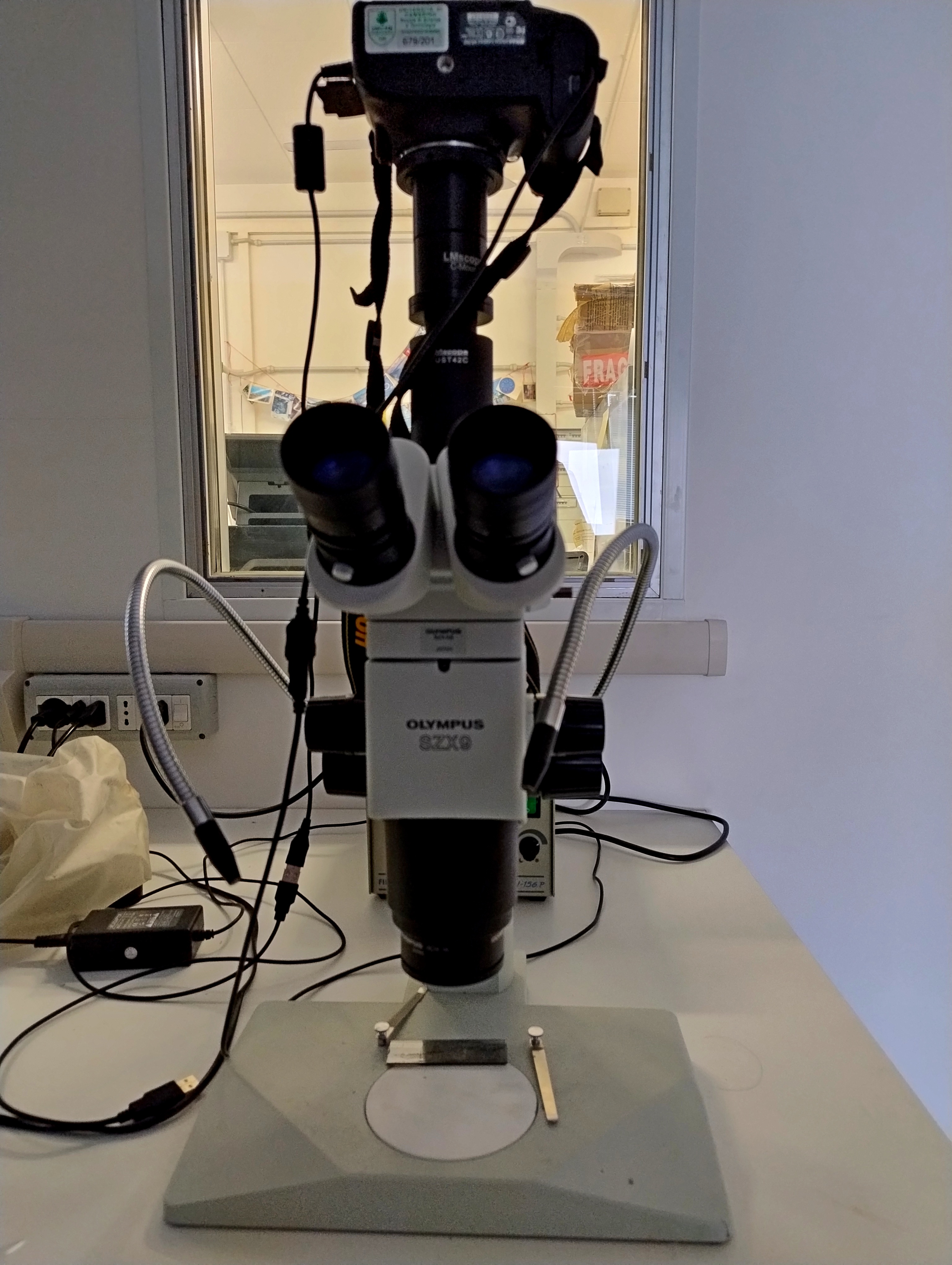 Microscopio stereoscopico Olympus SZX 9