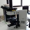 MICROSCOPIO OLYMPUS BX60 